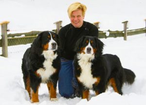 dogs.eveline